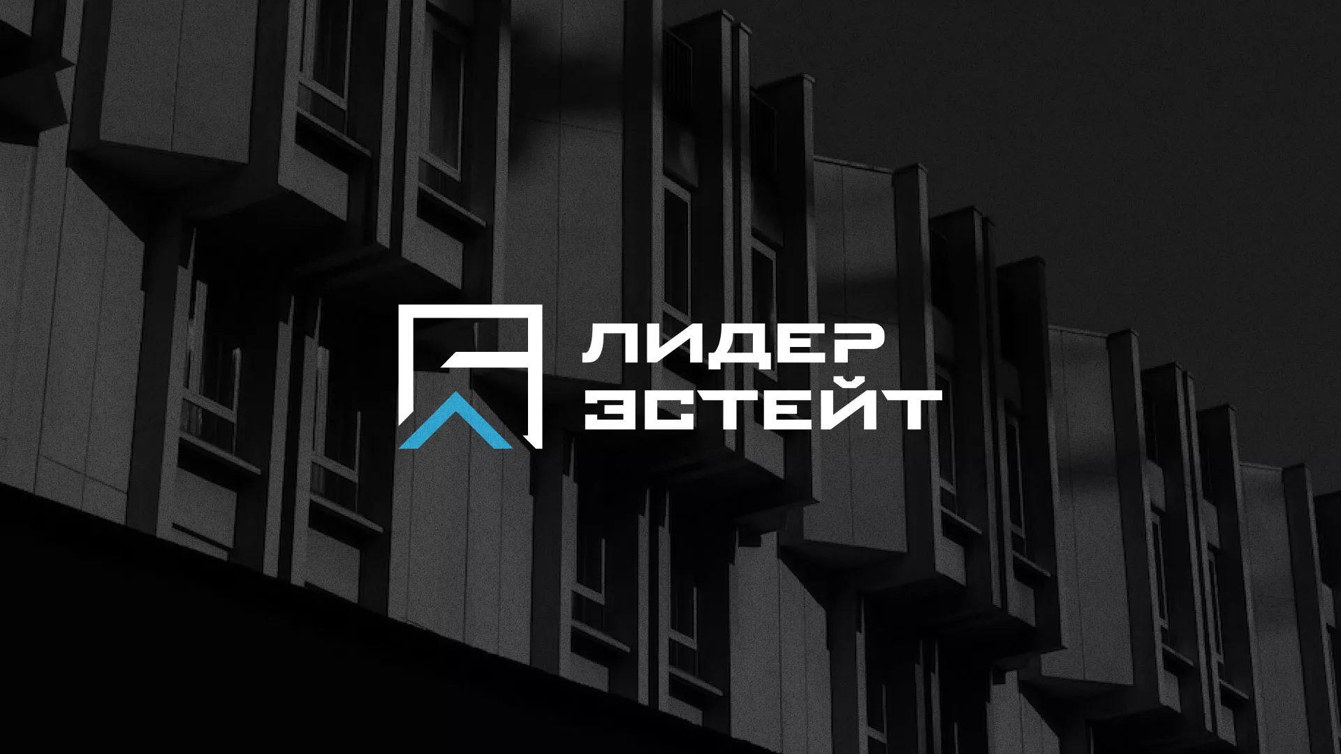 Разработка логотипа агентства недвижимости «Лидер Эстейт» в Макарьеве